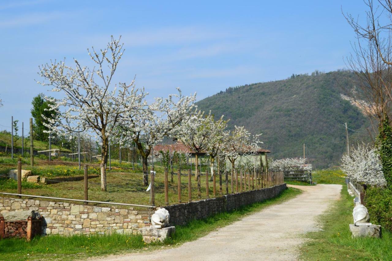 Bed and Breakfast Cascina Valsorda Concesio Экстерьер фото